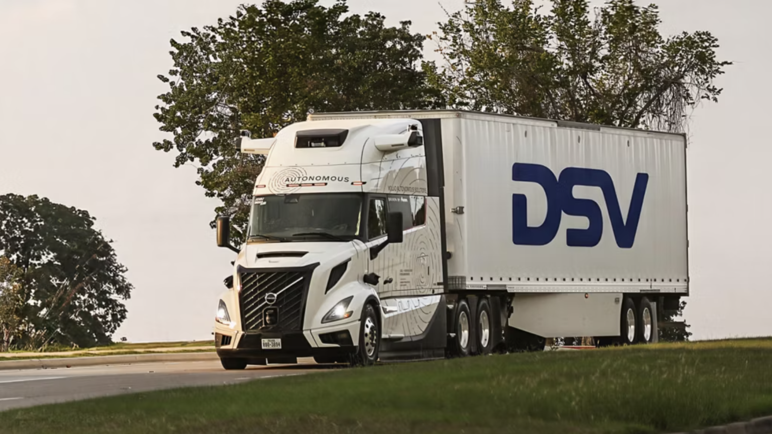 DSV_image.png